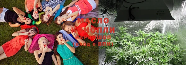 крисы Мегион