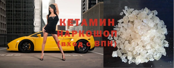 крисы Мегион